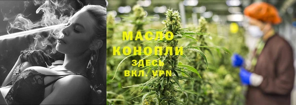 spice Горняк