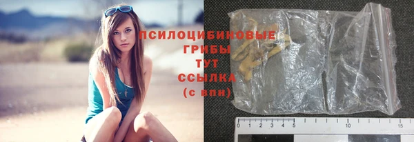 spice Горняк