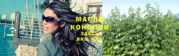 spice Горняк