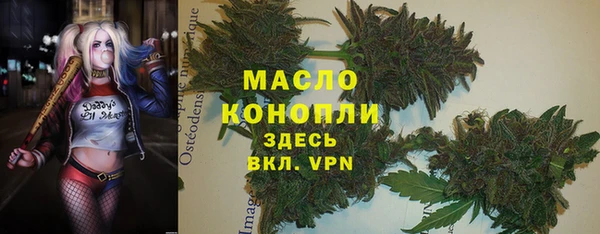 spice Горняк