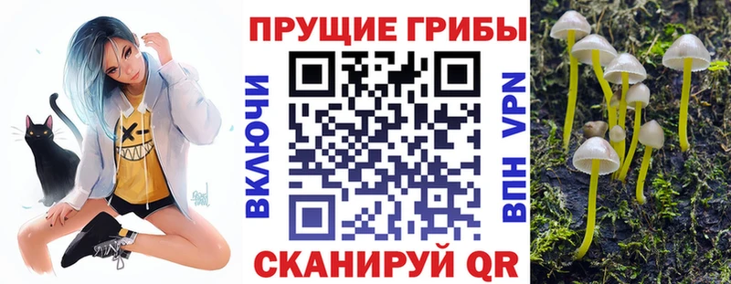Галлюциногенные грибы Cubensis  Белгород 